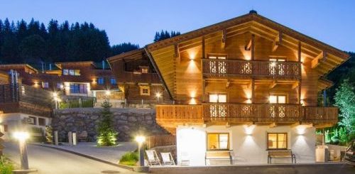 Chalet Bachgut Jagdhaus - 10-12 personen