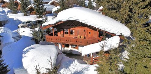 Chalet-appartement Merlenhütte Top EG - 2-4 personen